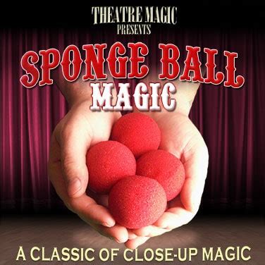 The Magic of Transformation: Turning Ordinary Sponges into Extraordinary Tricks